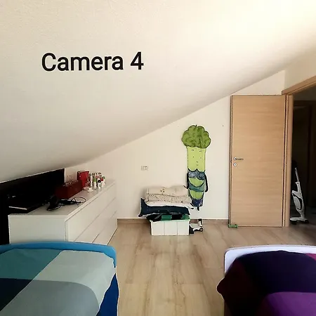 Frida_house